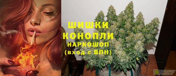 гидропоника Алзамай
