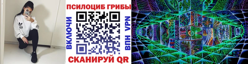 где можно купить   Алушта  Псилоцибиновые грибы ЛСД 